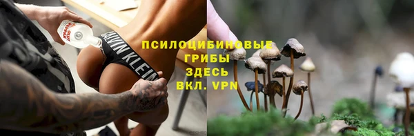 дживик Алексеевка