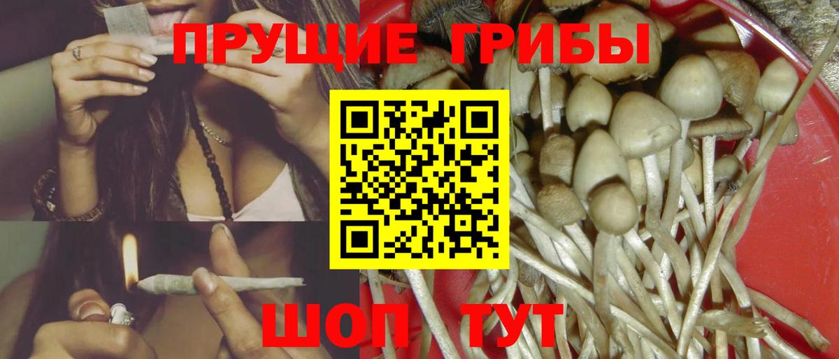 Псилоцибиновые грибы Psilocybine cubensis  Вход с VPN  закладка  Нефтекамск 